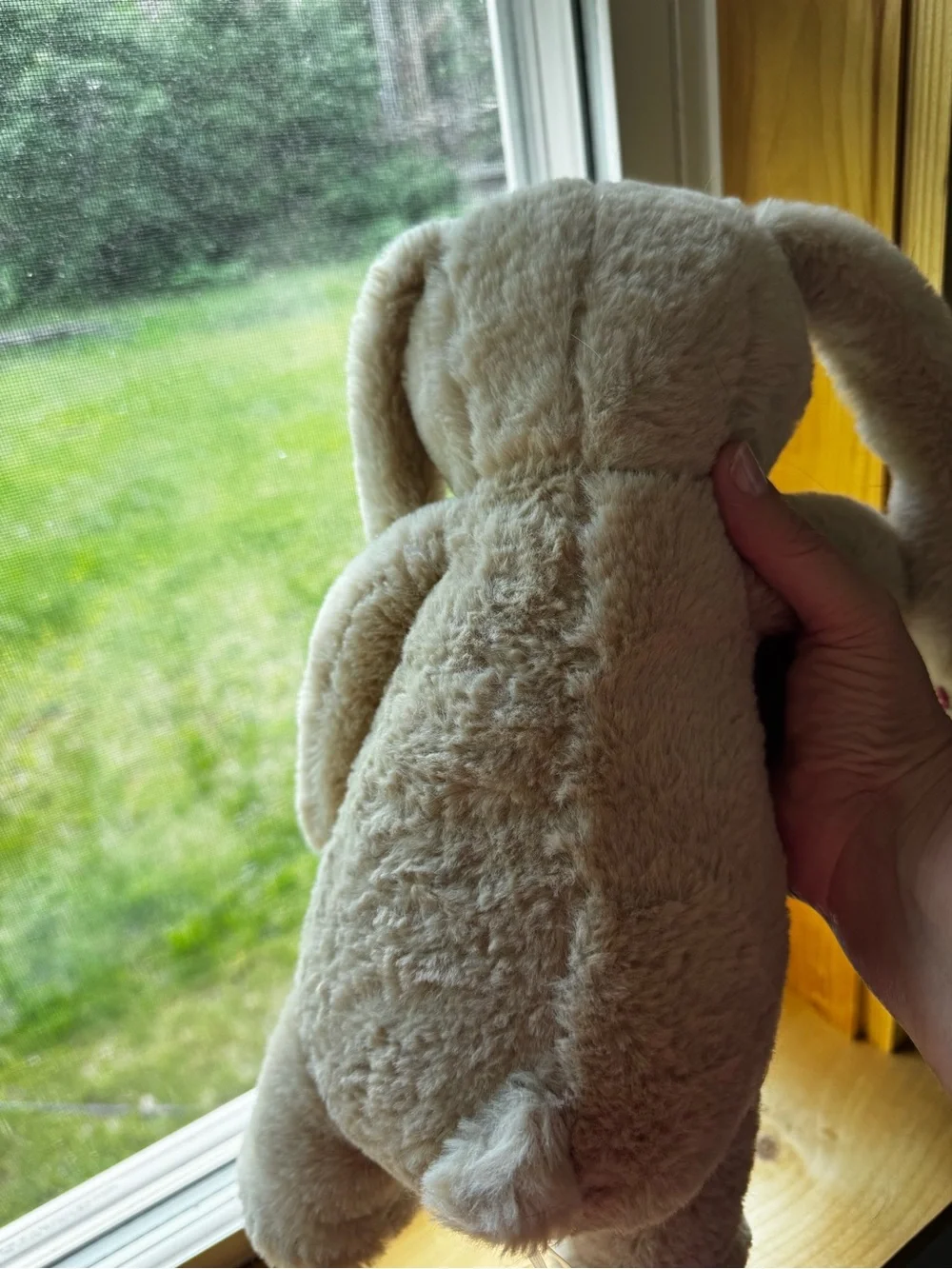Never used-Squeaky Bunny with Crinkle Ears